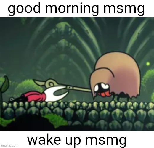 msmg msmg msmg | good morning msmg; wake up msmg | image tagged in msmg,wake up,silksong,hollow knight,hornet,good morning | made w/ Imgflip meme maker