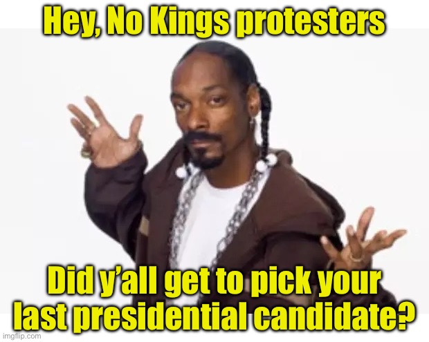 You’re protesting the wrong people | Hey, No Kings protesters; Did y’all get to pick your last presidential candidate? | image tagged in questioning snoop,kings | made w/ Imgflip meme maker