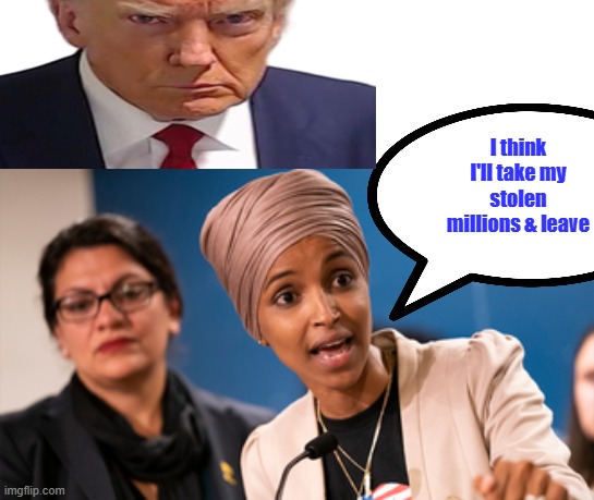 I think I'll take my stolen millions & leave | made w/ Imgflip meme maker