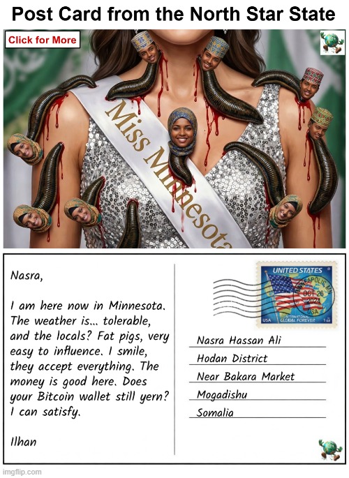 Does Ilhan Omar actually like it here? | image tagged in maga,conservative,minnesota | made w/ Imgflip meme maker