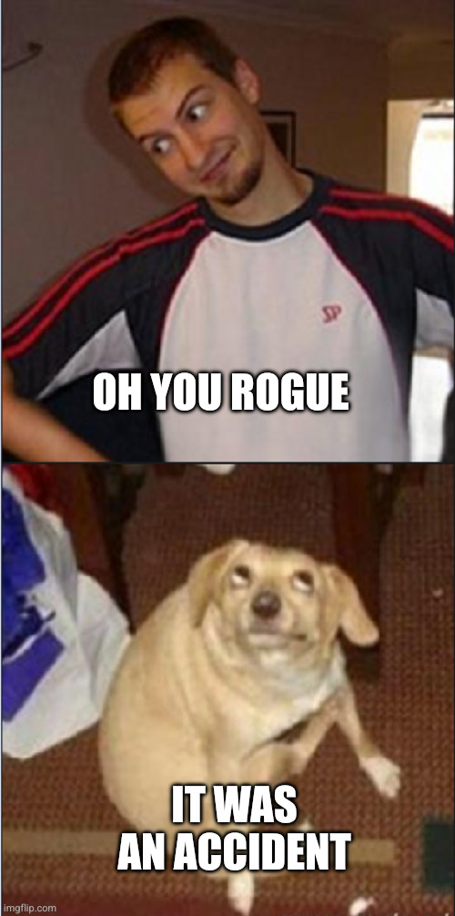 Oh you man + dog | Oh you rogue It was an accident | image tagged in oh you man dog | made w/ Imgflip meme maker