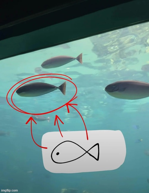 image tagged in msmg | made w/ Imgflip meme maker