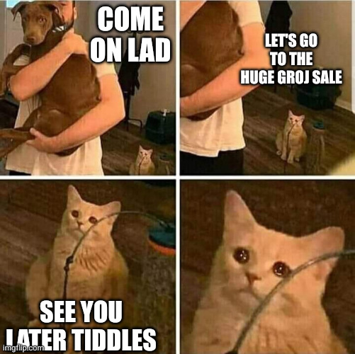 Sad Cat Holding Dog | Come on lad Let's go to the huge groj sale See you later tiddles | image tagged in sad cat holding dog | made w/ Imgflip meme maker
