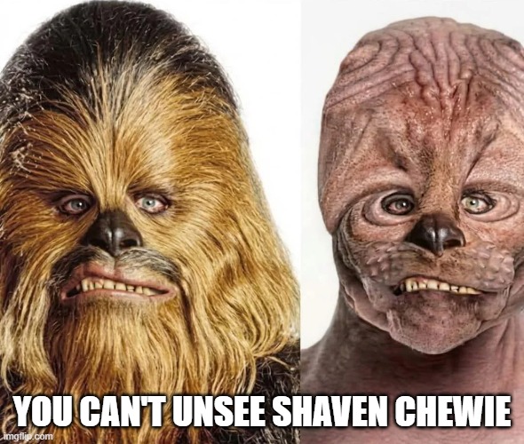 Shaven Chewie | you can't unsee shaven chewie | image tagged in star wars,chewbacca | made w/ Imgflip meme maker