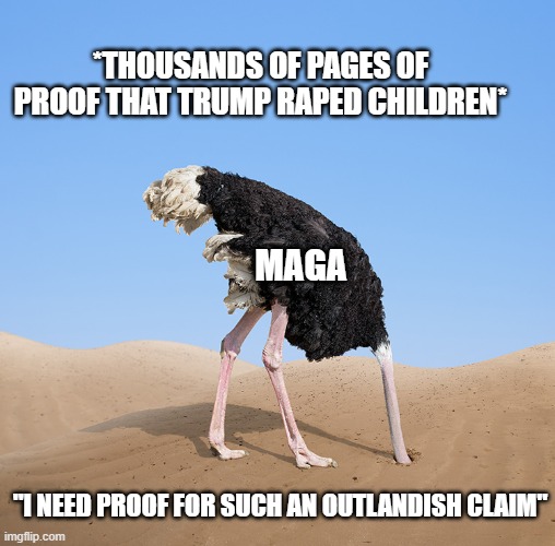 *thousands of pages of proof that trump raped children*; maga; "i need proof for such an outlandish claim" | image tagged in ostrich,maga | made w/ Imgflip meme maker