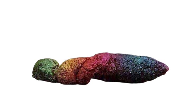 Liberal Turd Blank Meme Template