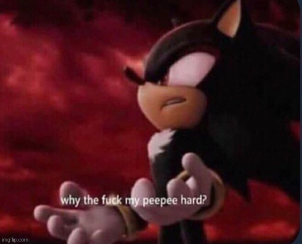 why the fuck my peepee hard? | image tagged in why the fuck my peepee hard | made w/ Imgflip meme maker