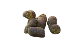 poop Blank Meme Template