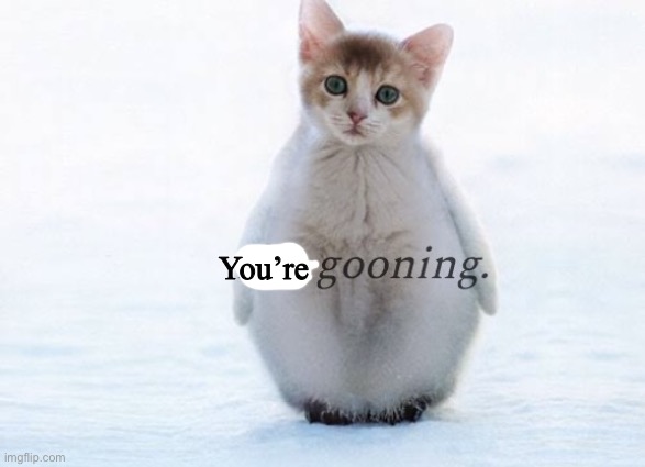 I’m gooning penguin cat | You’re | image tagged in i m gooning penguin cat | made w/ Imgflip meme maker