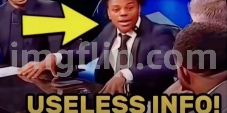 remember when everyone was posting their memes and comment images with the gigantic watermark | image tagged in useless info | made w/ Imgflip meme maker