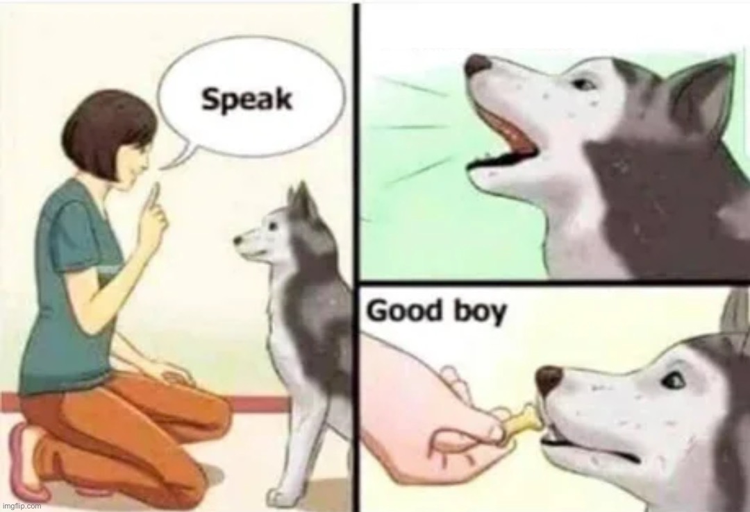 Good boy | image tagged in good boy | made w/ Imgflip meme maker