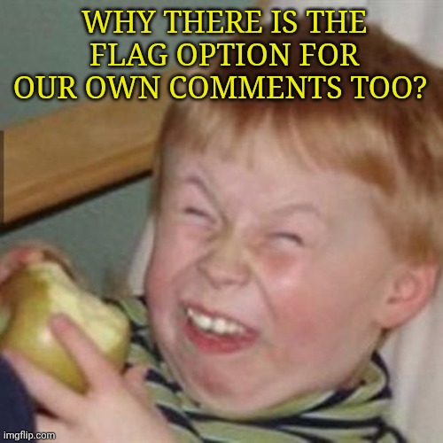 laughing kid | Why there is the flag option for our own comments too? | image tagged in laughing kid | made w/ Imgflip meme maker