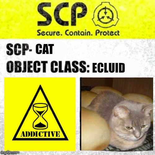 :3 | Cat; Ecluid | image tagged in scp euclid label template foundation tale's | made w/ Imgflip meme maker