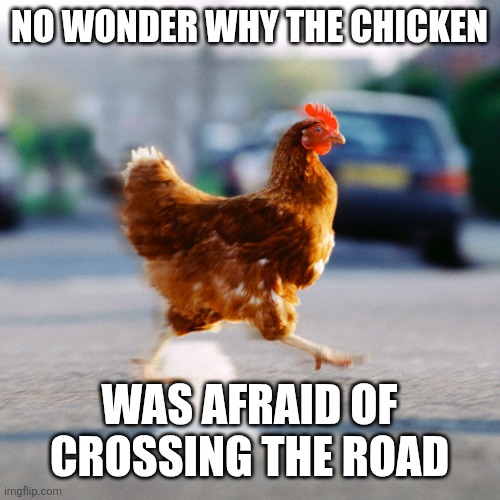 No wonder why the chicken Was afraid of crossing the road | image tagged in chicken on the road | made w/ Imgflip meme maker