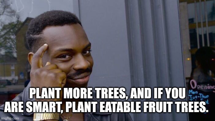 Roll Safe Think About It Meme | Plant more trees, and if you are smart, plant eatable fruit trees. | image tagged in memes,roll safe think about it | made w/ Imgflip meme maker