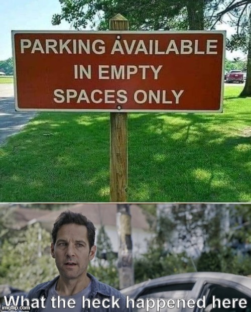 image tagged in antman what the heck happened here | made w/ Imgflip meme maker