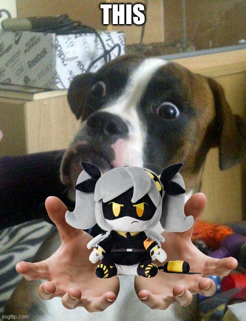 Blankie the Shocked Dog | this | image tagged in blankie the shocked dog | made w/ Imgflip meme maker