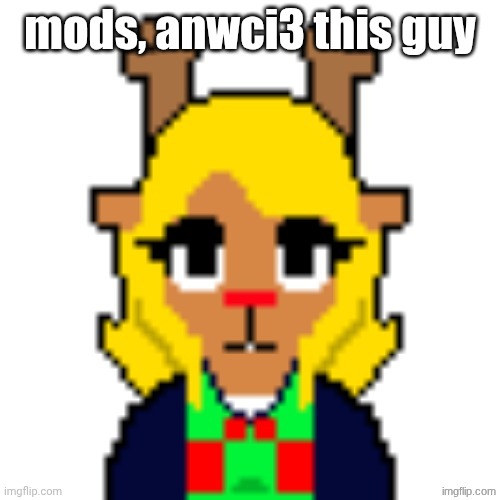 Unamused Noelle | mods, anwci3 this guy | image tagged in unamused noelle | made w/ Imgflip meme maker