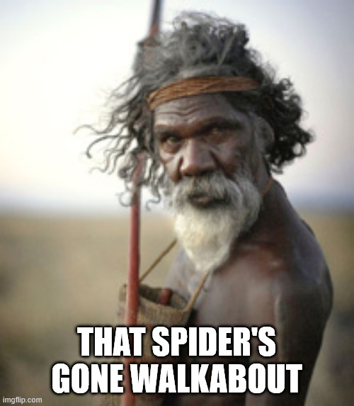 aboriginal warrior | that spider's gone walkabout | image tagged in aboriginal warrior | made w/ Imgflip meme maker
