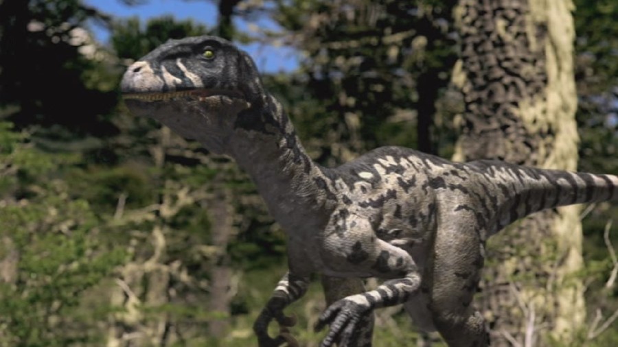 Dromaeosaurus Blank Meme Template
