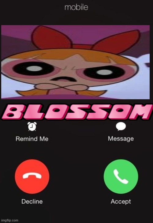 blossom is calling meme | image tagged in incoming call | made w/ Imgflip meme maker