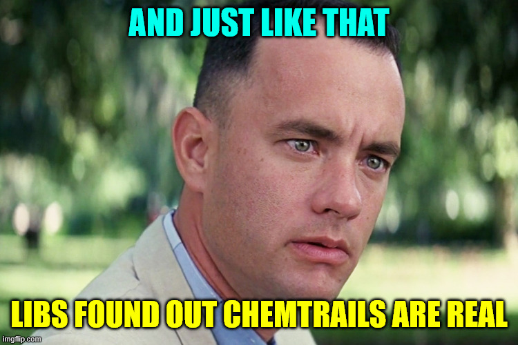 And Just Like That Meme | And just like that libs found out chemtrails are real | image tagged in memes,and just like that | made w/ Imgflip meme maker