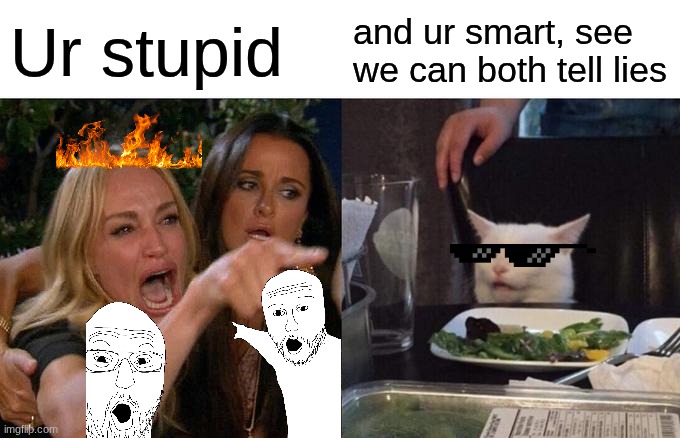 BURNEDDDDDDDDDDDDDD | Ur stupid; and ur smart, see we can both tell lies | image tagged in memes,woman yelling at cat | made w/ Imgflip meme maker