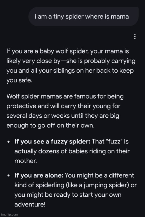 Chat I'm scared what kind of spider am I? ;-; | made w/ Imgflip meme maker