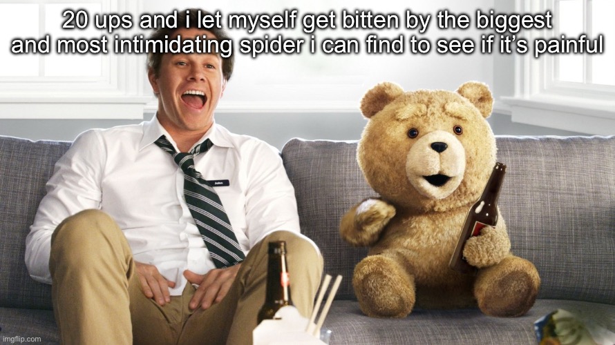 ted | 20 ups and i let myself get bitten by the biggest and most intimidating spider i can find to see if it’s painful | image tagged in ted,remix | made w/ Imgflip meme maker