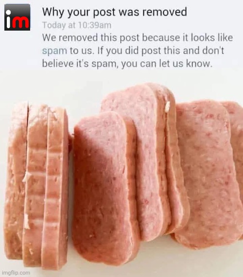 Spamflip | image tagged in spam,imgflip,fake,notifications,stupid memes | made w/ Imgflip meme maker