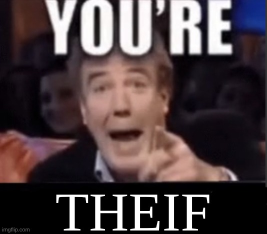 You're X (Blank) | THEIF | image tagged in you're x blank | made w/ Imgflip meme maker