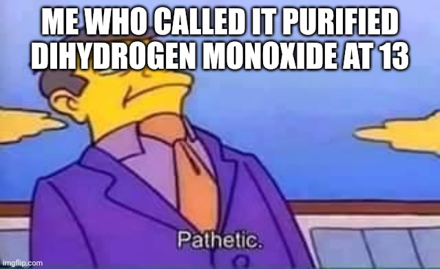 skinner pathetic | me who called it purified dihydrogen monoxide at 13 | image tagged in skinner pathetic | made w/ Imgflip meme maker