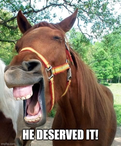 Laughing Horse | He deserved it! | image tagged in laughing horse | made w/ Imgflip meme maker