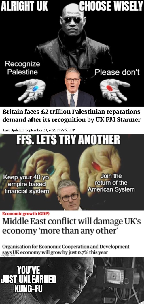 Imperialist globalism goes down. Former UK enforcer (U.S) has new strong allies at the table | image tagged in morpheus matrix blue pill red pill,uk,economy,iran,palestine | made w/ Imgflip meme maker