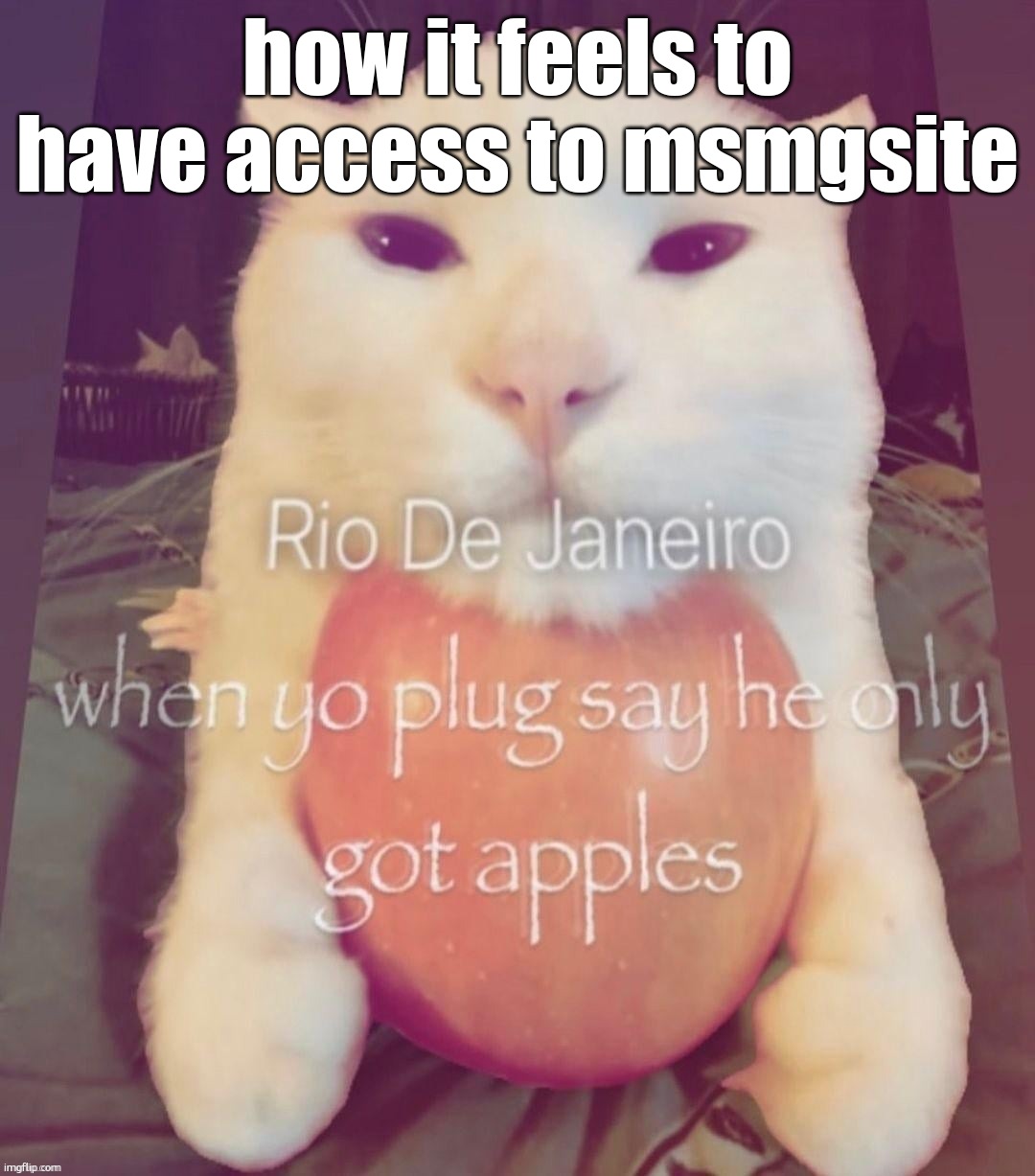 Rio de Janerio | how it feels to have access to msmgsite | image tagged in rio de janerio | made w/ Imgflip meme maker