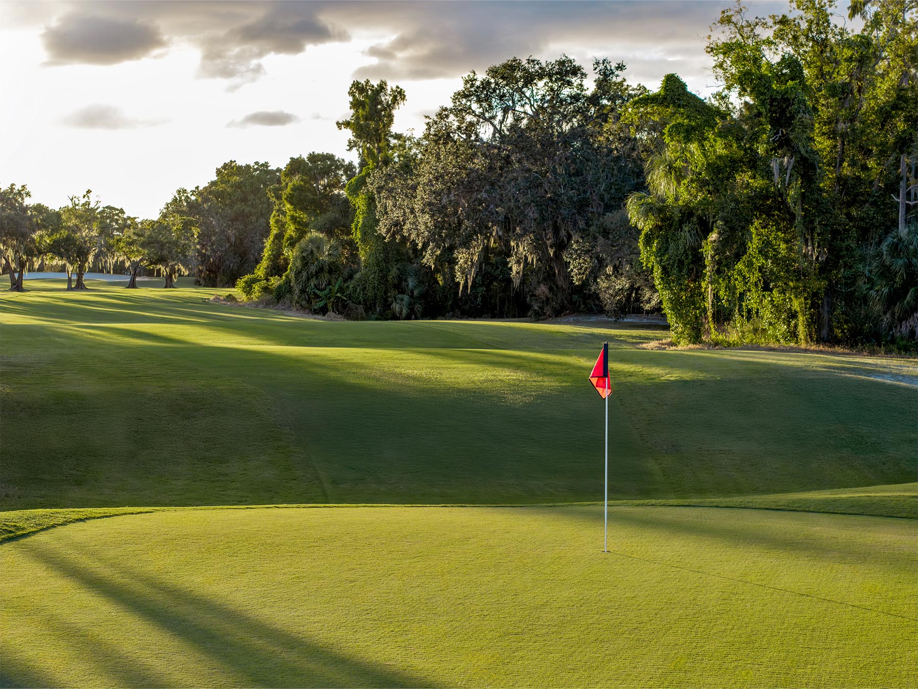 15th Hole @ 7 Springs Blank Meme Template