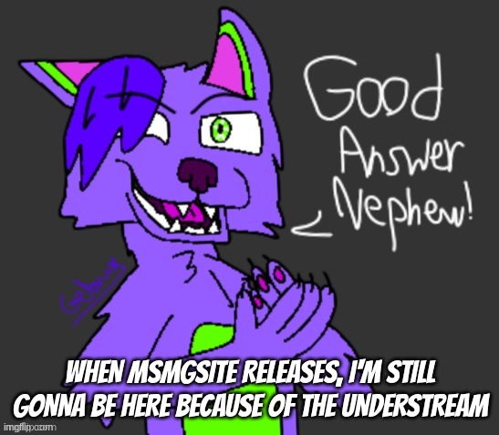 good answer nephew(thanks gebrix <3) | when msmgsite releases, I'm still gonna be here because of the understream | image tagged in good answer nephew thanks gebrix 3 | made w/ Imgflip meme maker