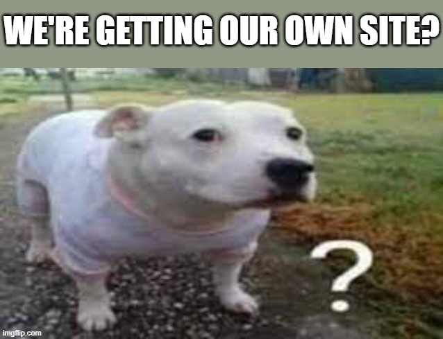 woah | we're getting our own site? | image tagged in dog question mark | made w/ Imgflip meme maker