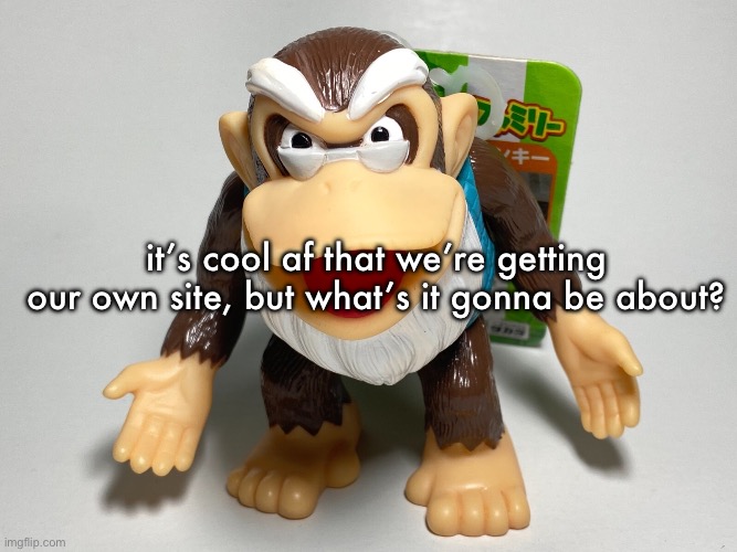 cranky kong | it’s cool af that we’re getting our own site, but what’s it gonna be about? | image tagged in cranky kong | made w/ Imgflip meme maker