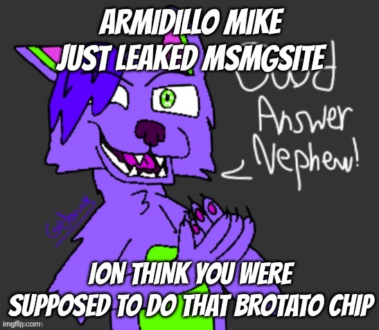 luckily you need a code to sign up but still | armidillo Mike just leaked msmgsite; ion think you were supposed to do that brotato chip | image tagged in good answer nephew thanks gebrix 3 | made w/ Imgflip meme maker