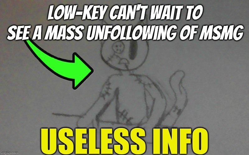puffy useless info | low-key can't wait to see a mass unfollowing of msmg | image tagged in puffy useless info | made w/ Imgflip meme maker