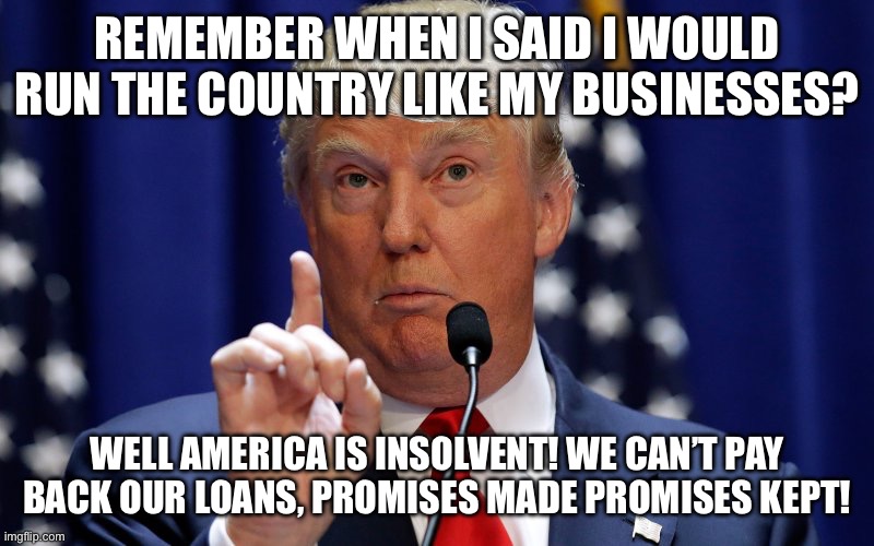 Donald Trump | Remember when I said I would run the country like my businesses? Well America is insolvent! We can’t pay back our loans, promises made promises kept! | image tagged in donald trump | made w/ Imgflip meme maker