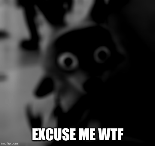 excuse me wtf | made w/ Imgflip meme maker