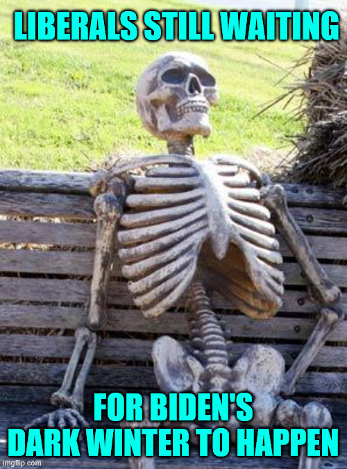 Waiting Skeleton Meme | Liberals still waiting for biden's dark winter to happen | image tagged in memes,waiting skeleton | made w/ Imgflip meme maker