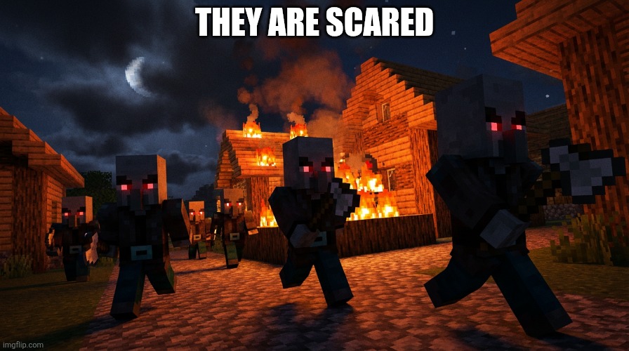 Pillager Raid | They are scared | image tagged in pillager raid | made w/ Imgflip meme maker