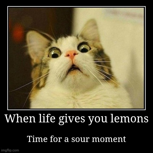 Sour Moment | When life gives you lemons | Time for a sour moment | image tagged in funny,demotivationals,funny memes,lemons,sour | made w/ Imgflip demotivational maker