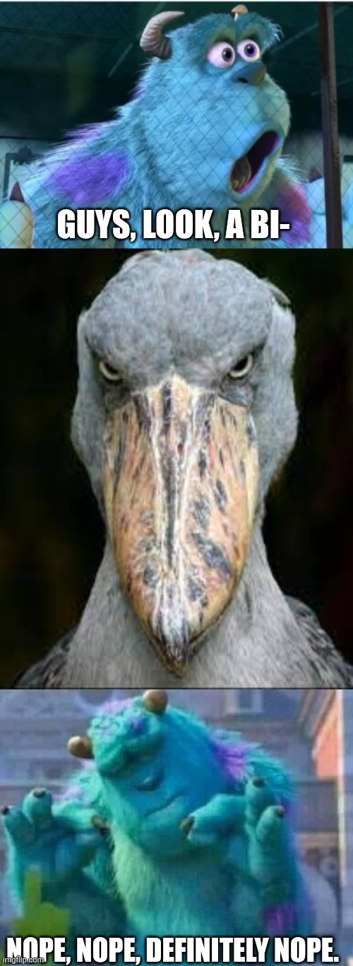 I just wanted to see a bird | Guys, look, a bi-; Nope, nope, definitely nope. | image tagged in suprised sully,scary bird,sully shutdown | made w/ Imgflip meme maker