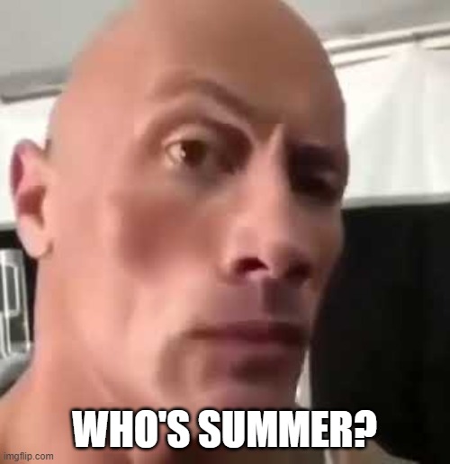 Who's Summer? | image tagged in the rock eyebrows | made w/ Imgflip meme maker