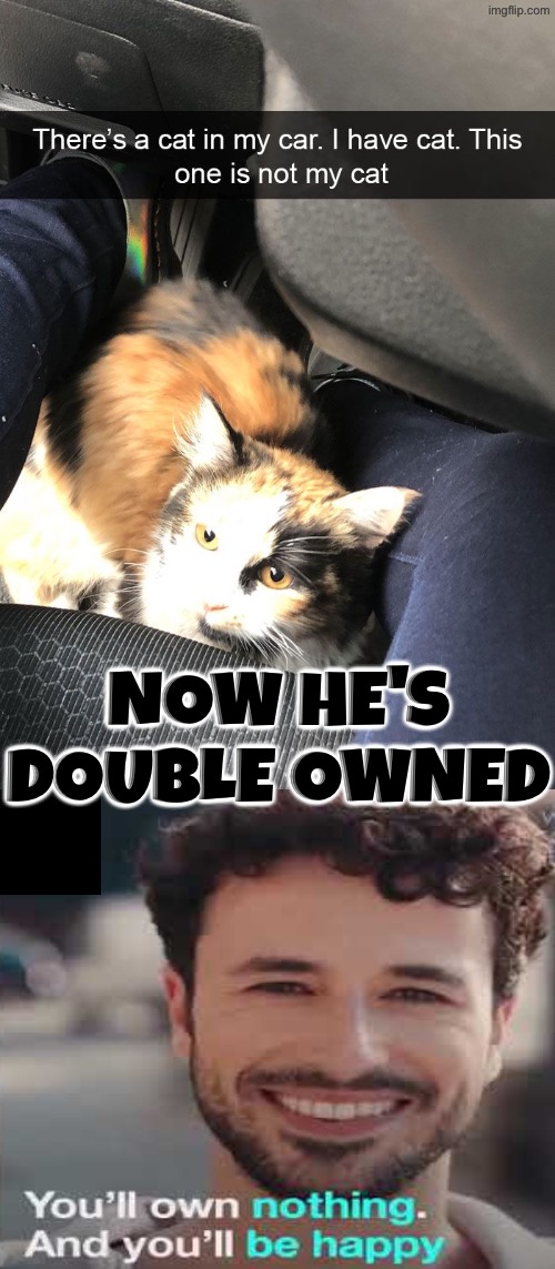 Now He's Double Owned | Now he's Double Owned | image tagged in cats,funny cats,owned,evil overlord rules,obey,mine | made w/ Imgflip meme maker