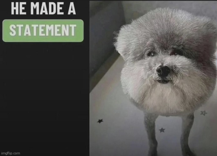 He made a statement blank | image tagged in he made a statement blank | made w/ Imgflip meme maker